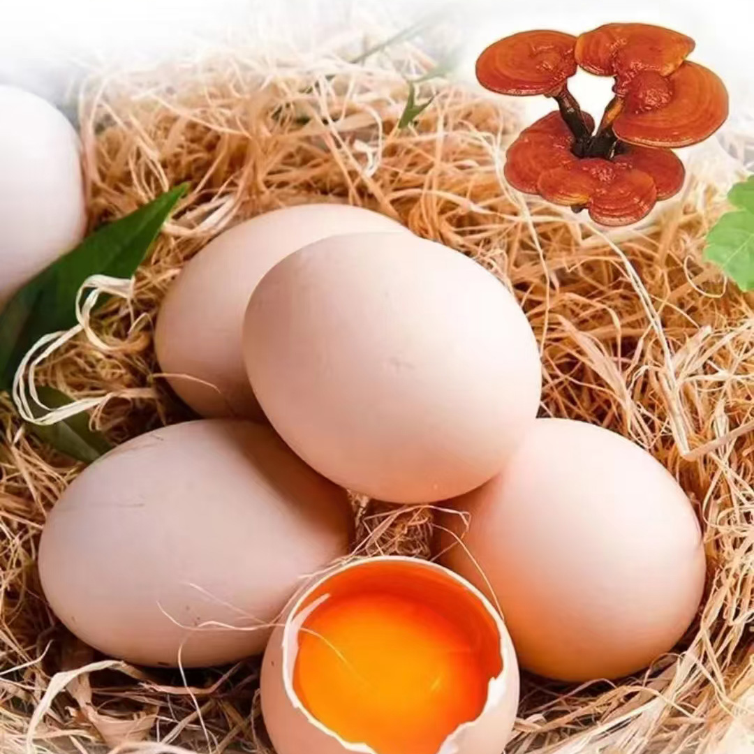 灵芝鸡蛋（1盒30枚）